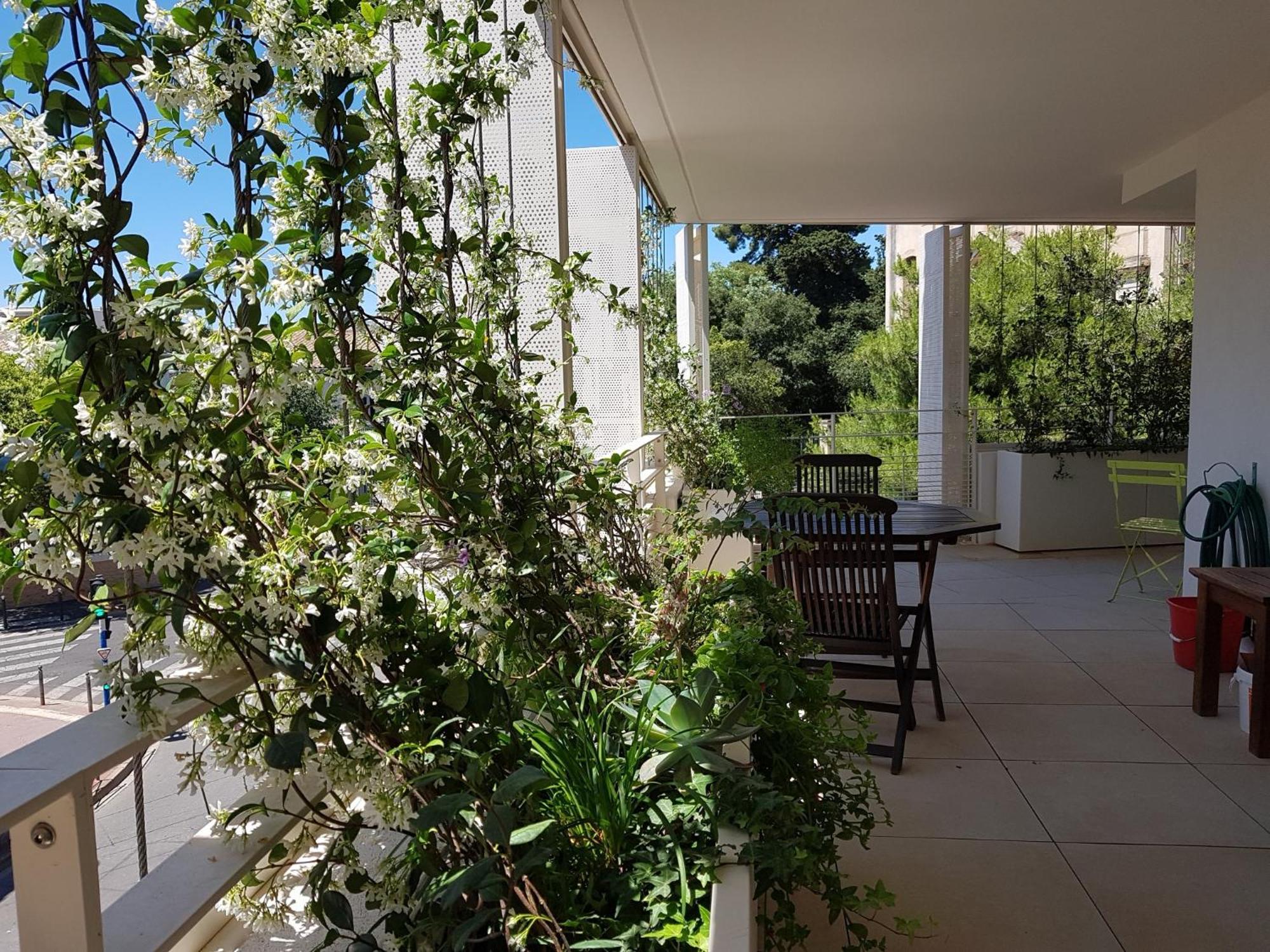 Appartement Centre Ville Beaux Arts 2 Personnes Calme Et Confort Montpellier Esterno foto